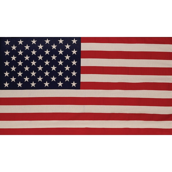 Valley Forge Valley Forge American Flag 29 in. H X 50 in. W 99000-1 - main